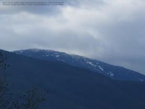 منظر طبيعي بضواحي ڨالمة