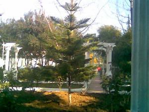 Maison de jeune dans la commune de Larbaa