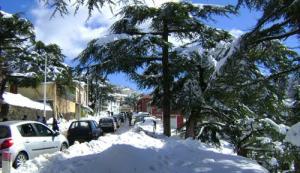 Chréa sous la neige