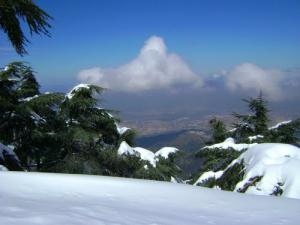 Chréa sous la neige
