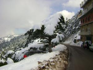 Les hauteurs de Chrea