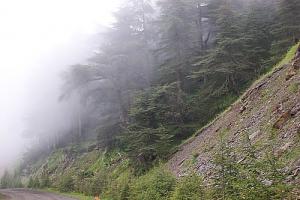 Sur la route de Chréa