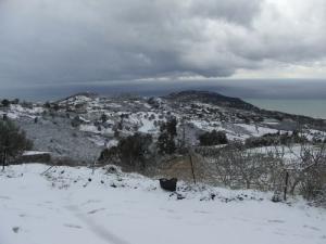 Les montagnes de Blida sous la neige