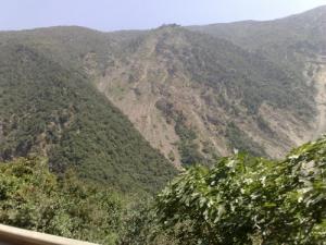 Les vertes monatgnes de la Chiffa