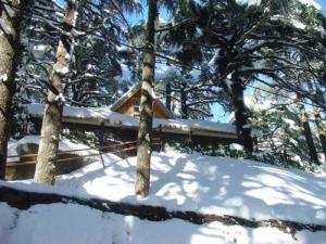 Petit chalet sous la neige (Commune de Chrea)