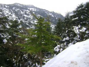 Les montagnes enneigées de Chrea