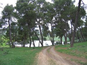 غابات المريج