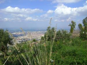 Chréa - vue sur Blida