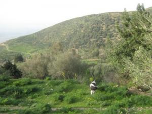 Petite ferme aux abords de Blida