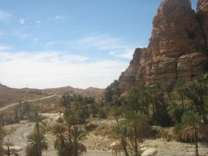 Une palmeraie de Djemina (Wilaya e Biskra)