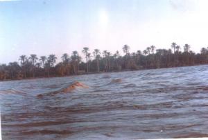 Oued Djedi près de Biskra