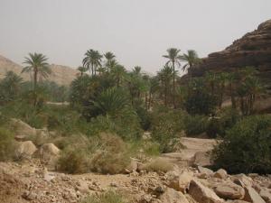 Taghit l'Enchatnteresse