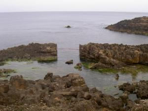 شواطئ بلدية القالة