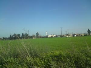 Aux abords de la ville de Blida