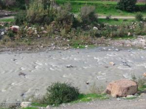 Petit cours d'eau à Hammam Melouane