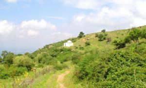 Un Marabout dans la périphérie de Blida