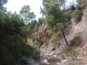 Parc national de Chréa