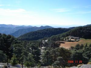 Les Forêts de Chrea
