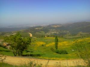 Beauté de Djebabra au Printemps