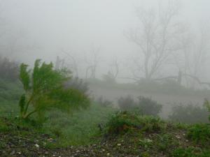 La commune de Djebabra sous la brume