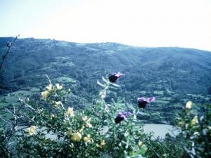 Une montagne de la commune de Meftah