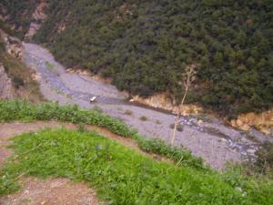 Paysage de Chréa (Wilaya de Blida)