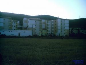 Nouvelle cité de Oued Djer