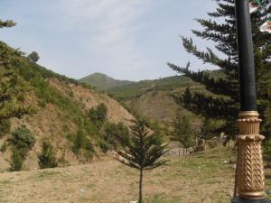 Paysage d'El Hamdania