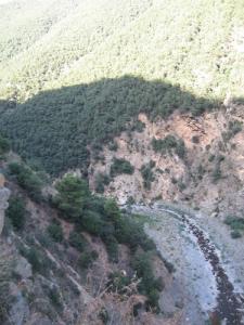 Paysage de la Chiffa