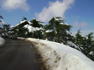 Chréa sous la neige