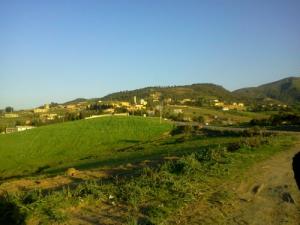 La Mosquée  Ghaliz  à Meftah