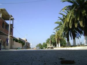 Une allée de Boufarik