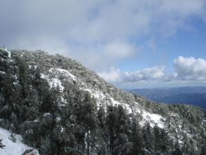 Chrea paysage de Chréa