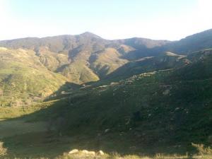 Montagnes entourant Blida