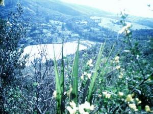 Lac Sisi hammed à Meftah