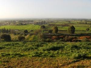 Vue sur la ville de Blida