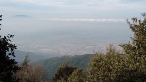 La plaine de la Mitidja vue de Chréa 1