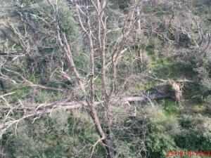 Je pense que c?est la main des hommes !!!