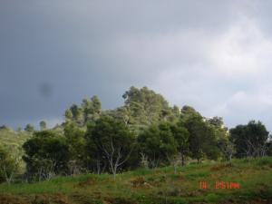 Beau paysage dans la périphéhrie de Boufarik