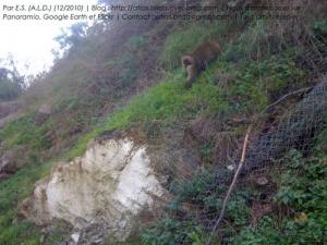 Chiffa (Atlas blidéen), Wilaya de Blida