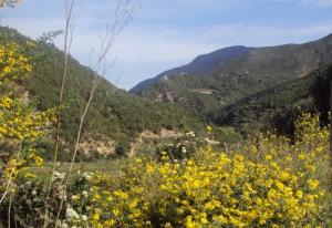 Monts et Collines  de la Chiffa
