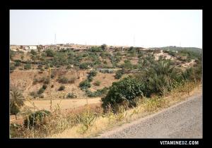 منطقة  الڨرابة  بجوار قرية سيدي صافي