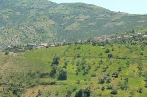 صورة لقرية تيغرمين ببلدية مسيسنة