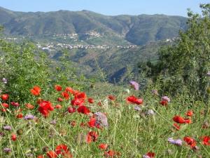 جبل  أشطوڨ  بالقرب من بلدية  صدوق