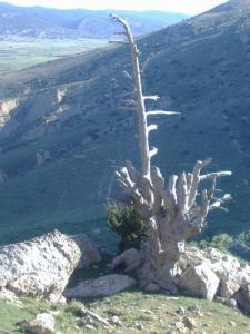 منظر جميل من بلدية بو حمامة