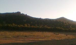 غابات منطقة ڨدمان