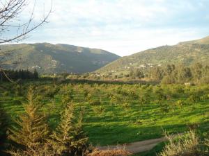 Site naturel à Bouira