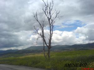 منظر طبيعي بضواحي الجباهية