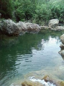 Petit cours d'eau dans la forêt de Bouira