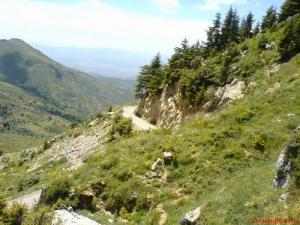 Beauté de la forêt de Bouira